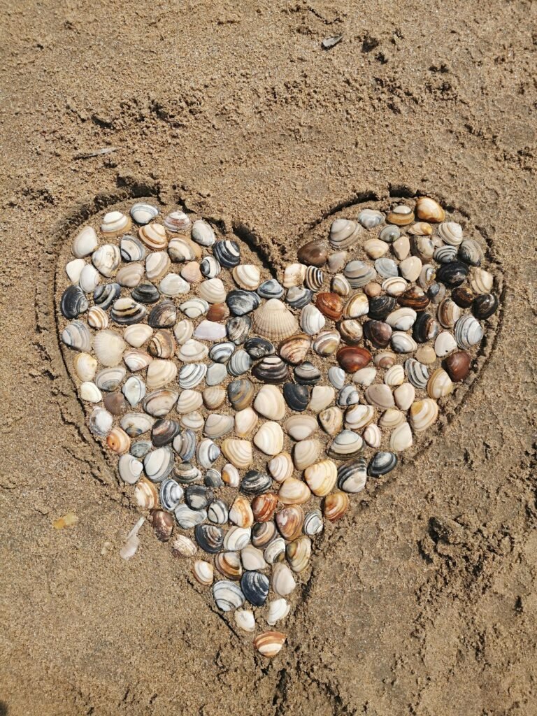 A heart made of seashells on sandy Dutch beach, symbolizes love.